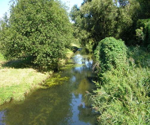 Parthe (Foto: M. Möder)